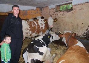 Borko i Veljko Mijajlovic