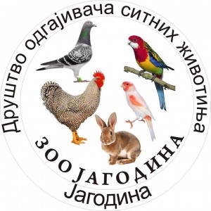 11945_10202049527384816_2789234176012880063_n