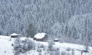 1503826646534e79c0df9f4259106237_640x388