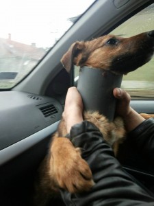 Cev mu je zadavala ogromnu bol