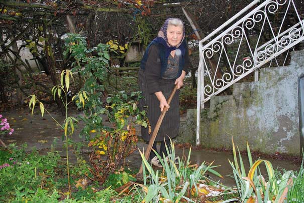 Baka Stana još uvek kopa
