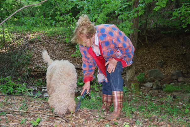 Jagoda sa Samom traži tartufe