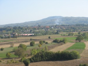 Selo puno zetova: Dublje kod Svilajnca