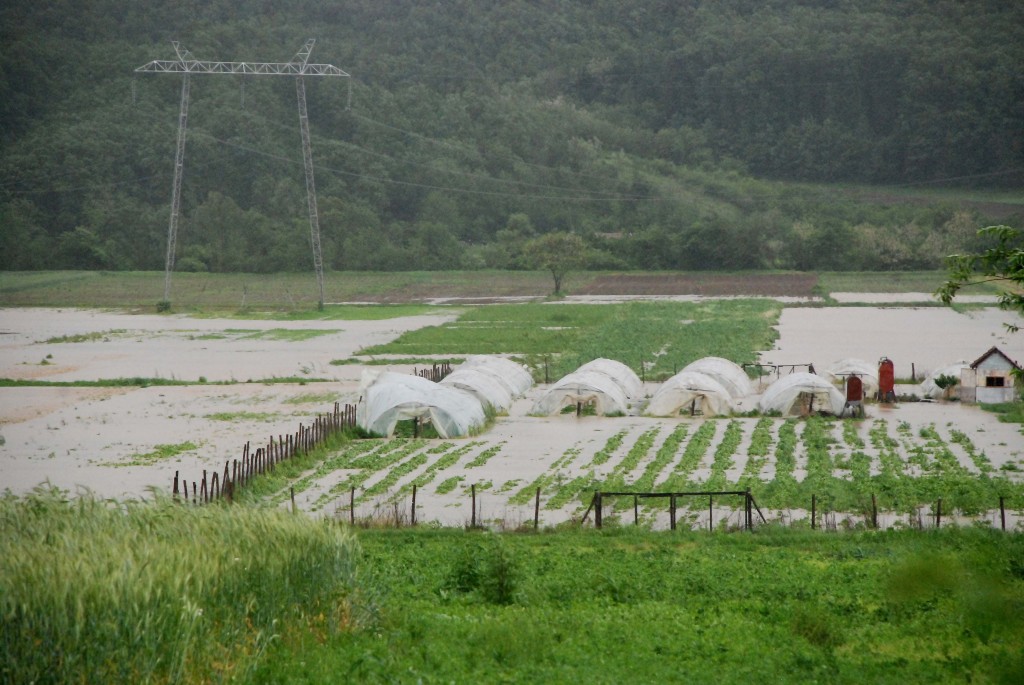 Plastenici u selu Trnava kod Jagodine