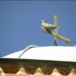 Retro - Protojerej-stavrofor Radovan Rakić (septembar 2014)