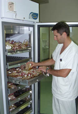 U specijalnom frižideru krvna plazma se čuva na +4 stepena