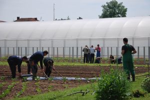 Svilajnac, ucenicima se njavise dopada prakticna nastava