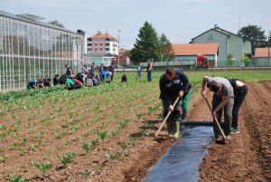 Svilajnac, ucenicima se njavise dopada prakticna nastava