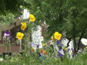 Uskrs i prvi maj 2.5[(002761)2016-05-02-14-45-23]