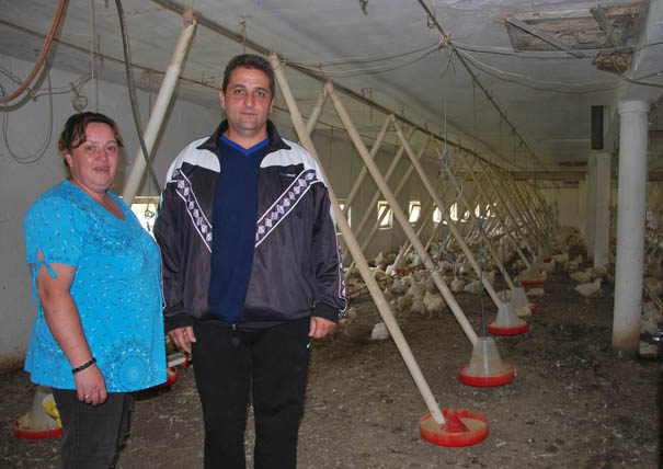 Vesna i Dušan Milovanović na svojoj farmi