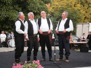 Pevačka grupa Časlava Đorđevića iz Duboke