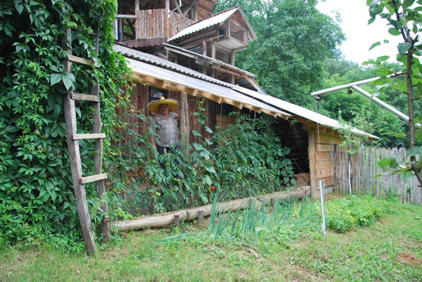 Zasad paradajza pod konac