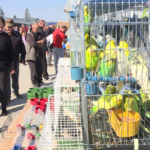 Održana 10. prolećna berza sitnih životinja u Jagodini