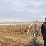 ORGANSKA HRANA SKUPA ZA SRBIJU