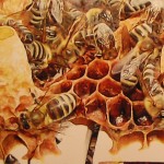 Izum koji duplira matice i med