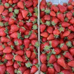 Jagode u Jagodini 120 dinara