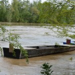 Obilne kise nisu izazvale vece probleme u Jagodini