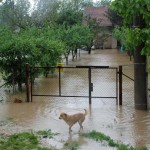 Pomoravlje pod vodom, najteže u Rekovcu