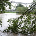 Jagodini ne preti Velika Morava