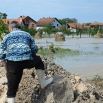 Preporuke Radne grupe u cilju pružanja stručne pomoći poljoprivrednim proizvođačima sa poplavljenog područja