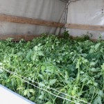 Stigle donacije za jagodinske poljoprivrednike