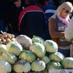 Kupus jeftiniji nego proslih godina