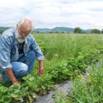 TRULEŽ ODNELA ZARADU