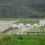 Stižu donacije za jagodinske poljoprivrednike