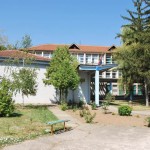 Profesorka podstrekivala Ristica da zapali inspektorov automobil