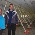 Tov piladi isplativiji od klasicne poljoprivrede