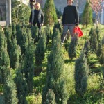 Izdrzavaju se od prodaje mleka