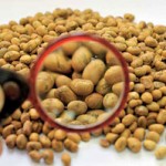 Ostre kazne za proizvodjace genetski modifikovane soje