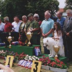 Najlepsi pas Deni iz Jagodine