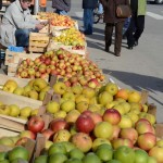 Najkvalitetnije jabuke izvozimo u Rusiju