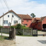 Stradali jureći šumokradice