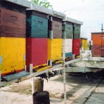 Skromno medobranje svilajnackih pcelara