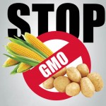 STOP GMO HRANI