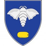 Počela podela rastvora za dezinfekciju svim građanima Svilajnca