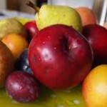 Posle rezidbe obaviti prolecno tretiranje